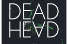 New EP by SOVNGER : DEAD HEAD feat. Lux Montes {Release News}